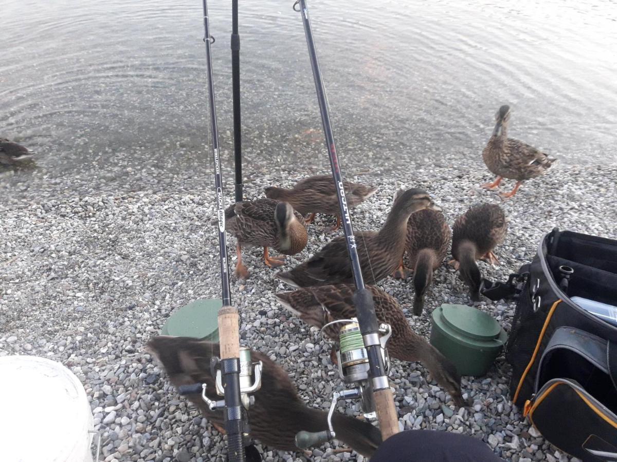 Wildente Am See Maishofen Zewnętrze zdjęcie
